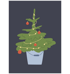 A Small Christmas Tree In The Bucket