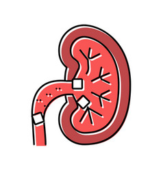 Kidney Stones Color Icon