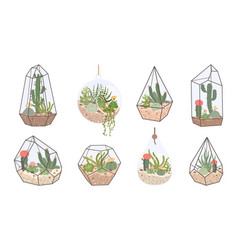 Cute Glass Florarium Geometric Terrarium