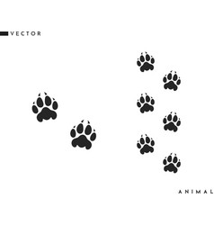 Panther Paw Prints Silhouette