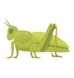 Ant Grasshopper Icon Cartoon Jump Small