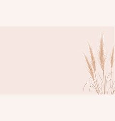 Dried Natural Pampas Grass On Beige Background