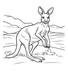 Kangaroo Australian Black And White