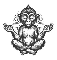 Meditating Monkey In Seated Position Sketch