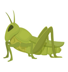 Pest Grasshopper Icon Cartoon Fly Ant