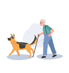 Elderly Man Walking With Escort Dog Senior Man