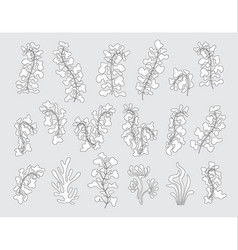 Floral Abstract Design Set In Black And White