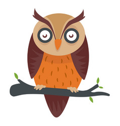 Owl Bird Cartoon