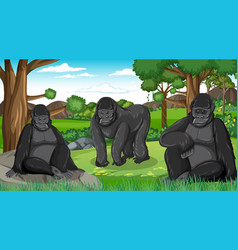 Gorilla Group In Forest Or Rainforest Scene