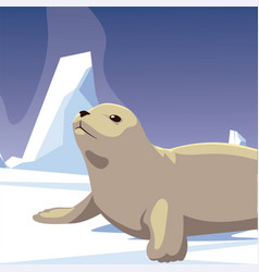 Seal Animal Resting Iceberg North Pole Character