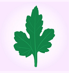 Green Chrysanthemum Leaf