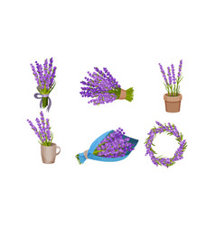 Lavender Flowers In Vase And Flowerpot Set