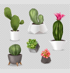 Realistic Cactus Pots Set