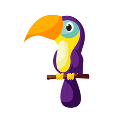 Toucan Cartoon Of Bird