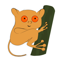 Tarsier