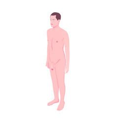 Isometric Male Body