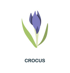 Crocus Flat Icon Colored Element Sign From