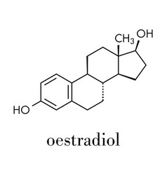 Estradiol Estrogen Female Sex Hormone Molecule