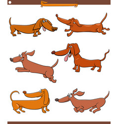 Cartoon Dachshunds Purebred Dogs Animal