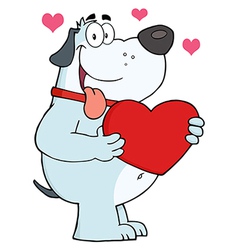 Gray Fat Dog Holding Up A Red Heart