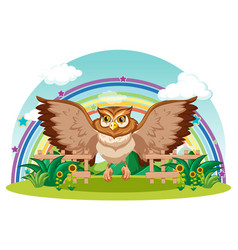 Owl In The Garden With Rainbow On White Background