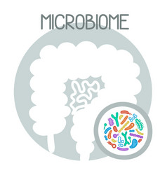 Human Microbiome With Intestines And Bacteria