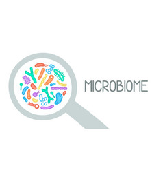 Microbiome Of Bacteria Image Gastroenterologist