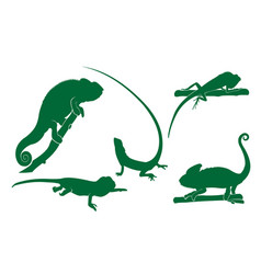 Chameleon Iguana Lizard Animal Silhouette Set