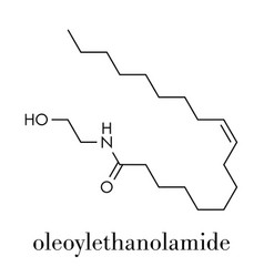 Oleoylethanolamide Oea Endogenous Peroxisome