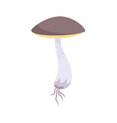 Birch Mushroom Icon