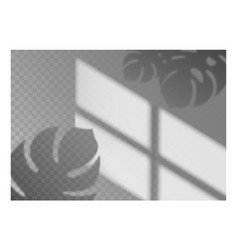 Realistic Shadow Overlay Monstera Leaves