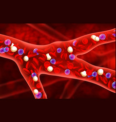 Bloodstream View From The Inside Artery And Blood