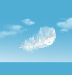 Luminous feather Royalty Free Vector Image - VectorStock