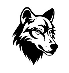 Black And White Wolf