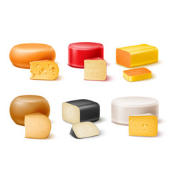 Realistic Cheese Different Varieties Cheeses