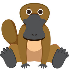 Cute Platypus In Flat Style Isolated