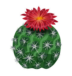 Parodia Craft Cactus Composition