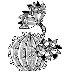 Cactus Plant Hand Drawn Succulent