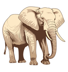 African Elephant Design