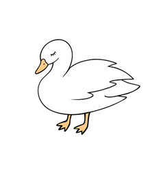 Duck Animal Domestic Bird For Printing