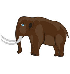 Fossil Animal Mammoth On White Background