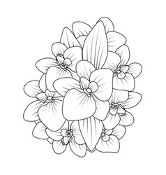 Orchid Flower Outline Line Coloring Page Of Easy