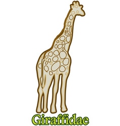 Giraffidae