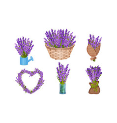 Lavender Flowers In Vase And Wicker Basket