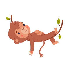 Funny Cute Baby Monkey Lying On Vine African