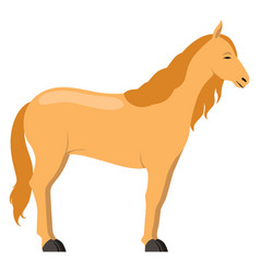 Horse Icon Farm Animal Domestic Stallion