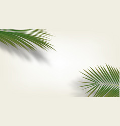 3d Palm Branches With Shadows In The Corners