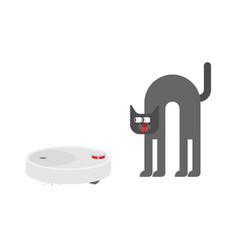 Cat And Robot Vacuum Cleaner