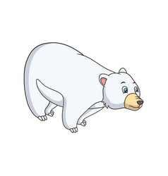 Cartoon Polar Bear Is Standing And Looking