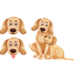 Set Of Golden Retriever Dogs Isolated